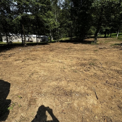 BRUSH CLEARING